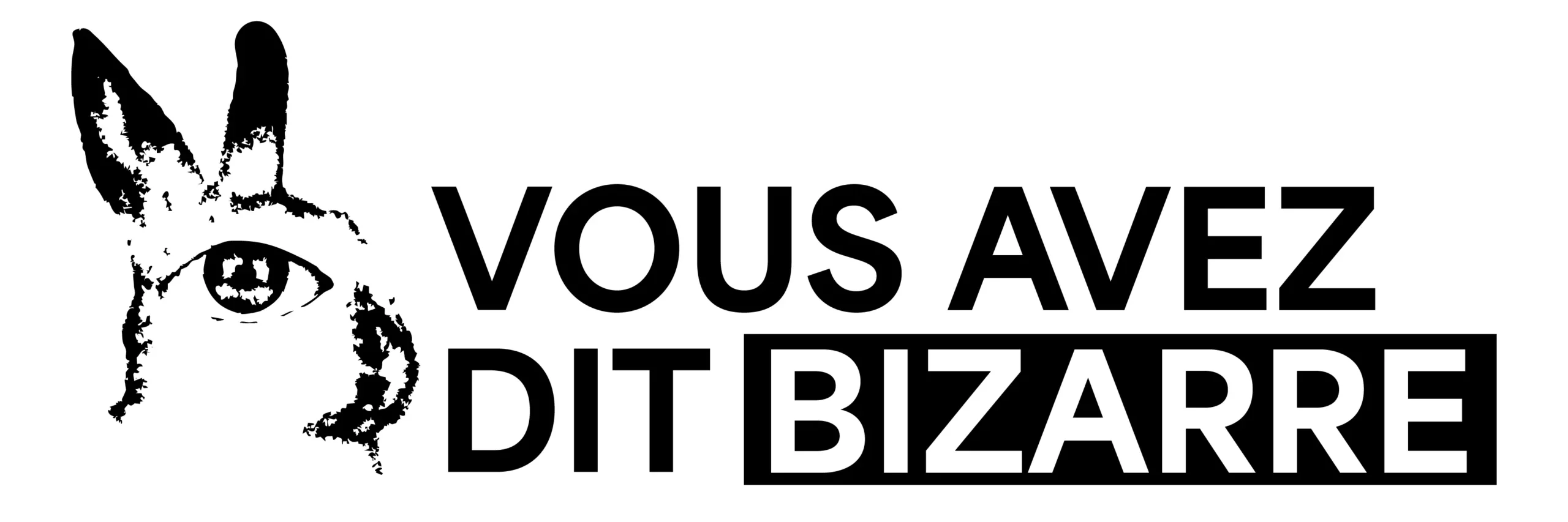 VADB Productions – Vous Avez Dit Bizarre